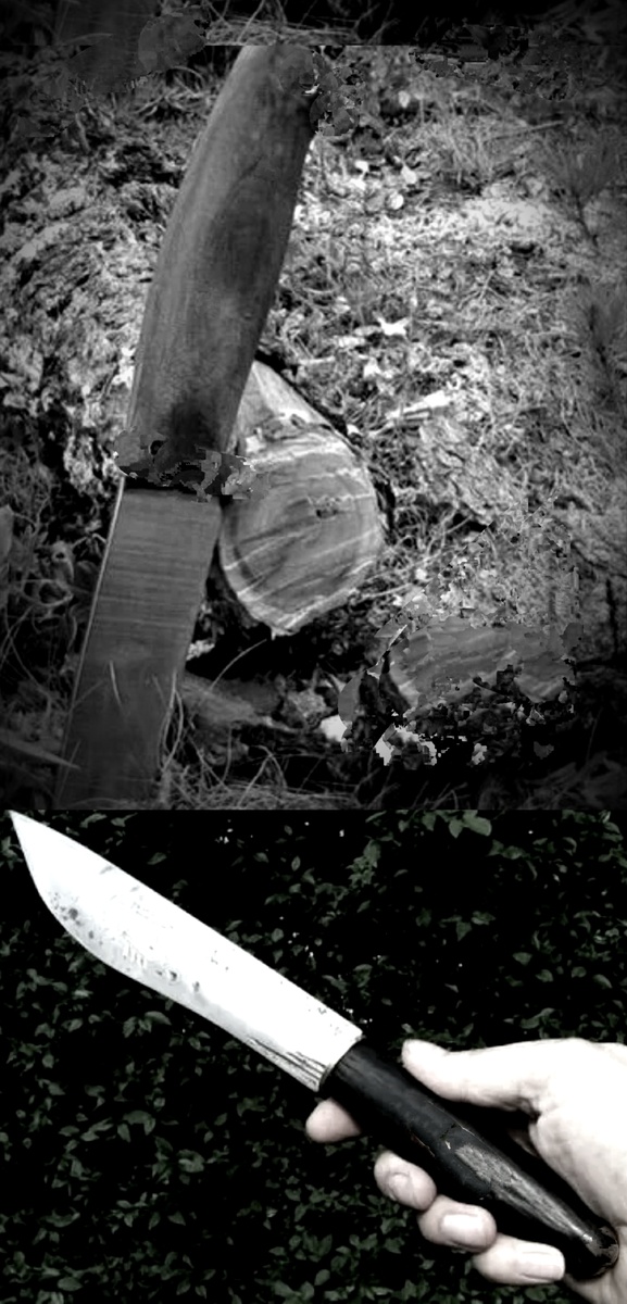 Фотоколлаж автора статьи 