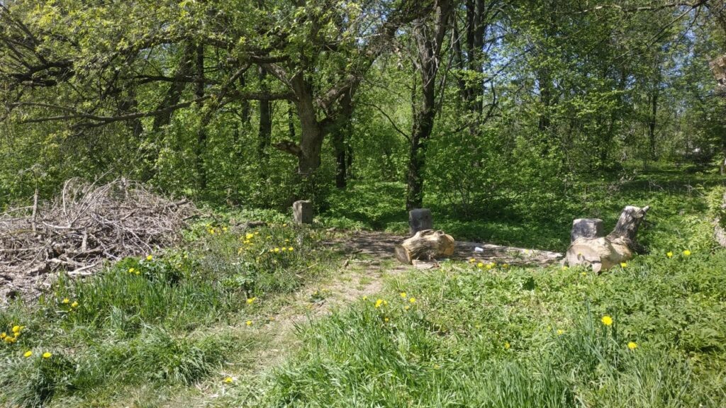    Фото: smolnarod.ru