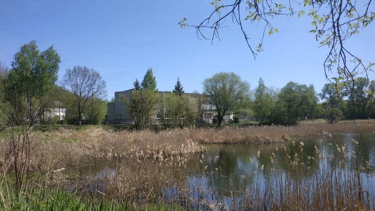 Фото: smolnarod.ru📷
