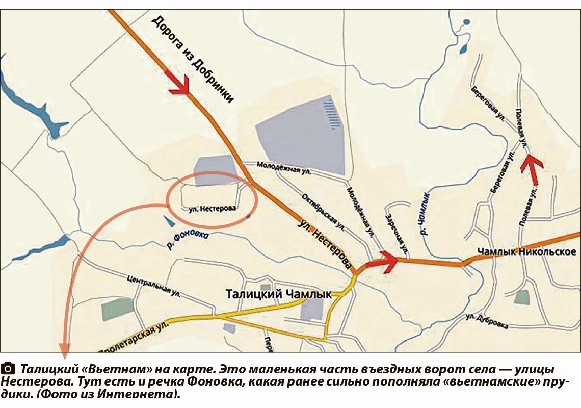 Талицкий
 «Вьетнам» на карте. Это маленькая часть въездных ворот села — улицы 
Нестерова. Тут есть и речка Фоновка, какая ранее сильно пополняла 
«вьетнамские» прудики. (Фото из Интернета).