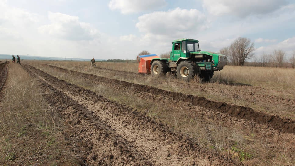 К реализации проекта приступили представители Шолоховского Государственного автономного учреждения Ростовской области «Лес» и филиала Федерального бюджетного учреждения «Всероссийский научно-исследовательский институт лесоводства и механизации лесного хозяйства» «Южно-европейская научно-исследовательская лесная опытная станция» приступили к реализации проекта в Ростовской области..📷Фото: Василий Дерюгин, Коммерсантъ