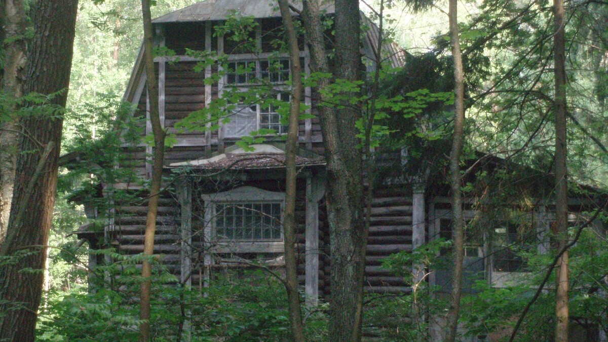     Источник: Из личного архива Елены Травиной