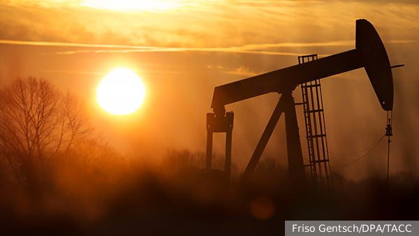     Фото: Friso Gentsch/DPA/ТАСС   
 Текст: Мария Иванова