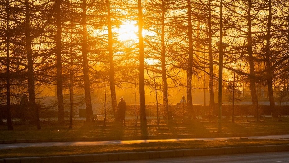    Автор фото: Ермохин Сергей