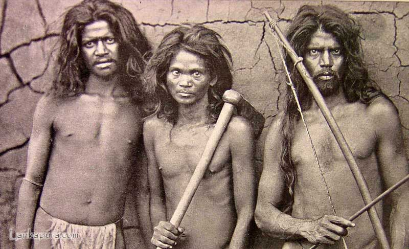 Взгляд в прошлое: каким был Цейлон 150 лет назад глазами британских фотографов