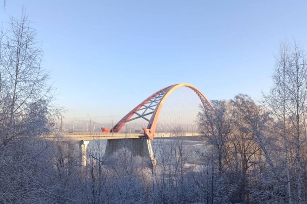    Фото: Светлана Соснина