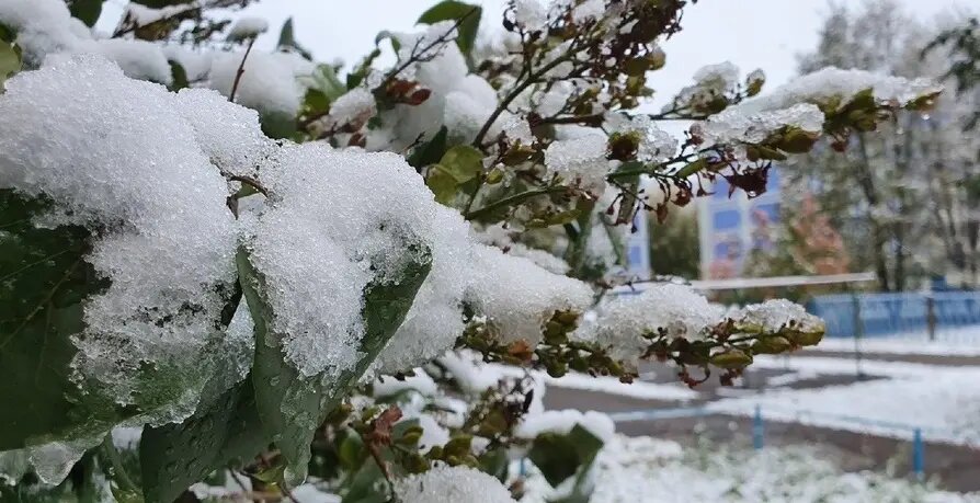    С севера к Татарстану приближается циклон, сформировавшийся над Баренцевым морем