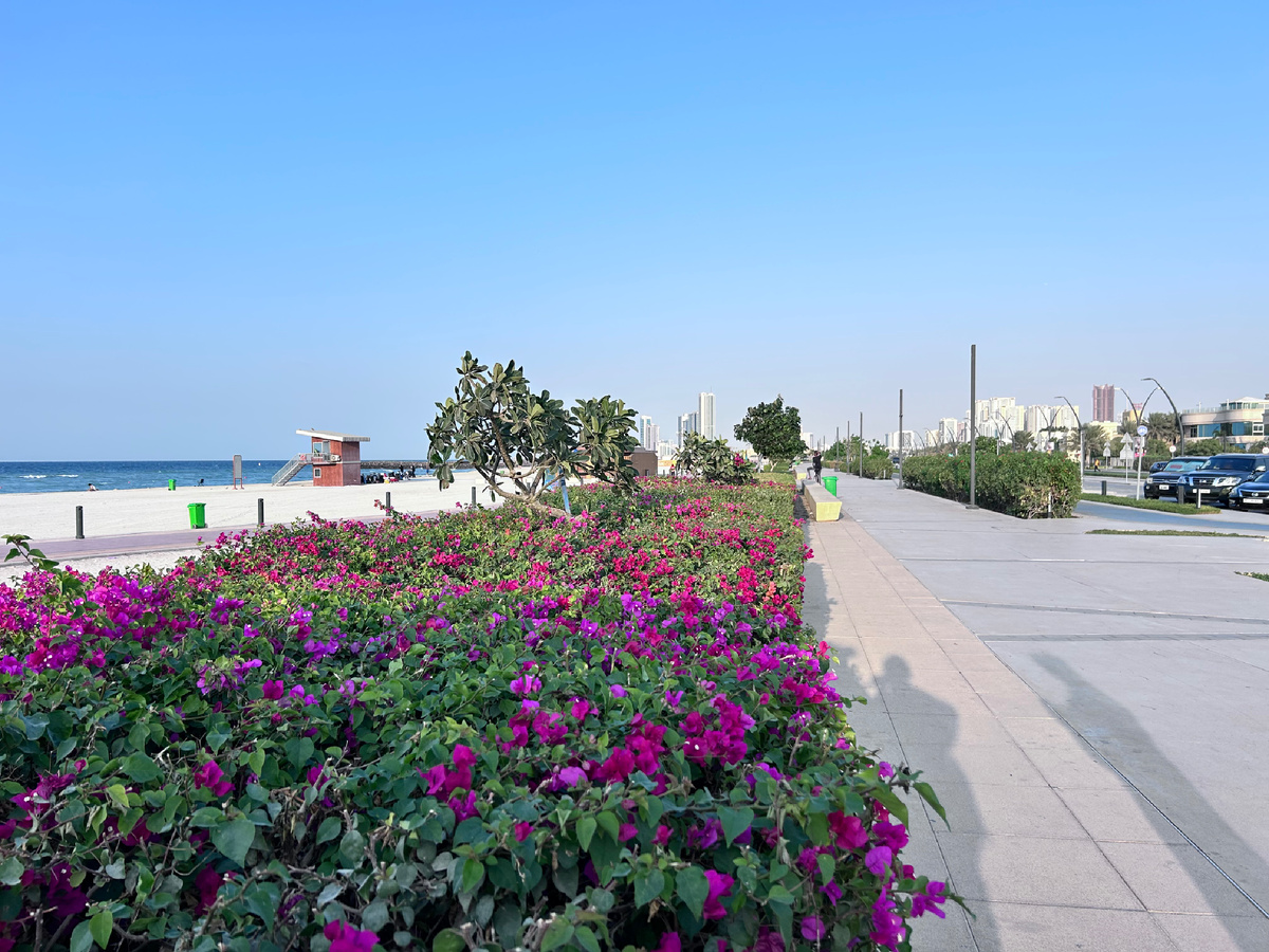 Прекрасная набережная в Шардже с отличным и главное бесплатным и оборудованным пляжем!👍 