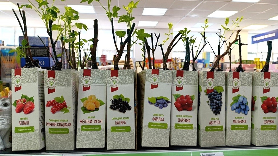 Листайте вправо