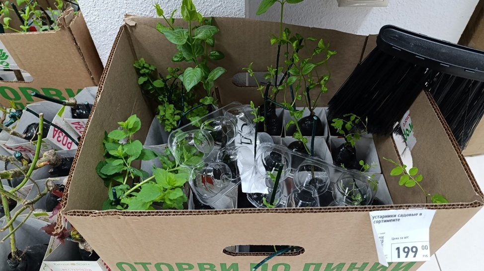 Листайте вправо