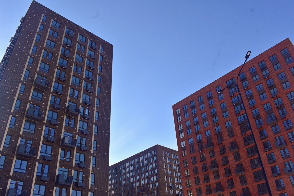    Источник: Алена Новокшонова/ТАСС