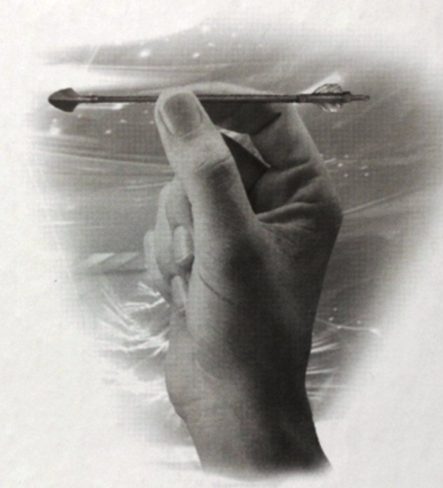 Точно в цель. Обложка у меня была с такой иллюстрацией. 