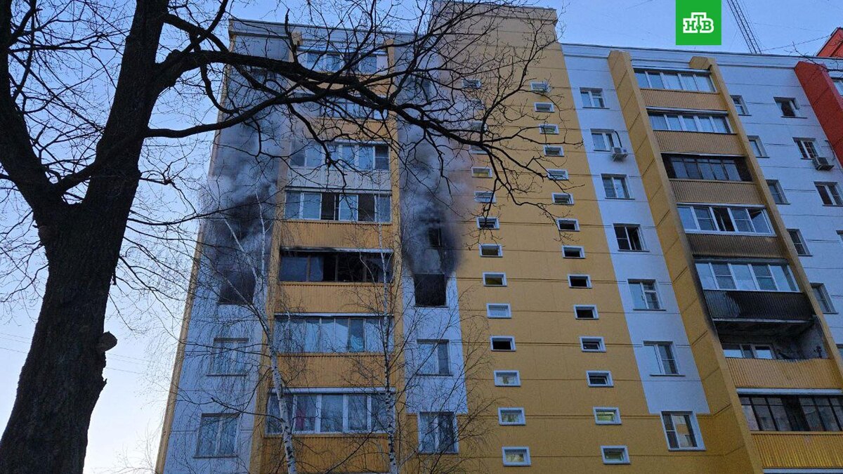    Фото: @potapchuk_live / t.me