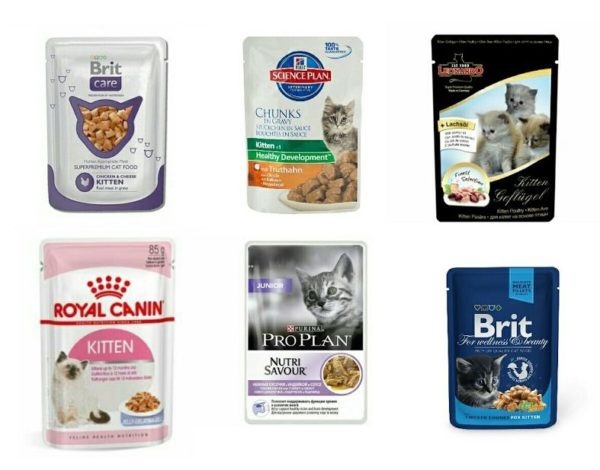 Яндекс картинки