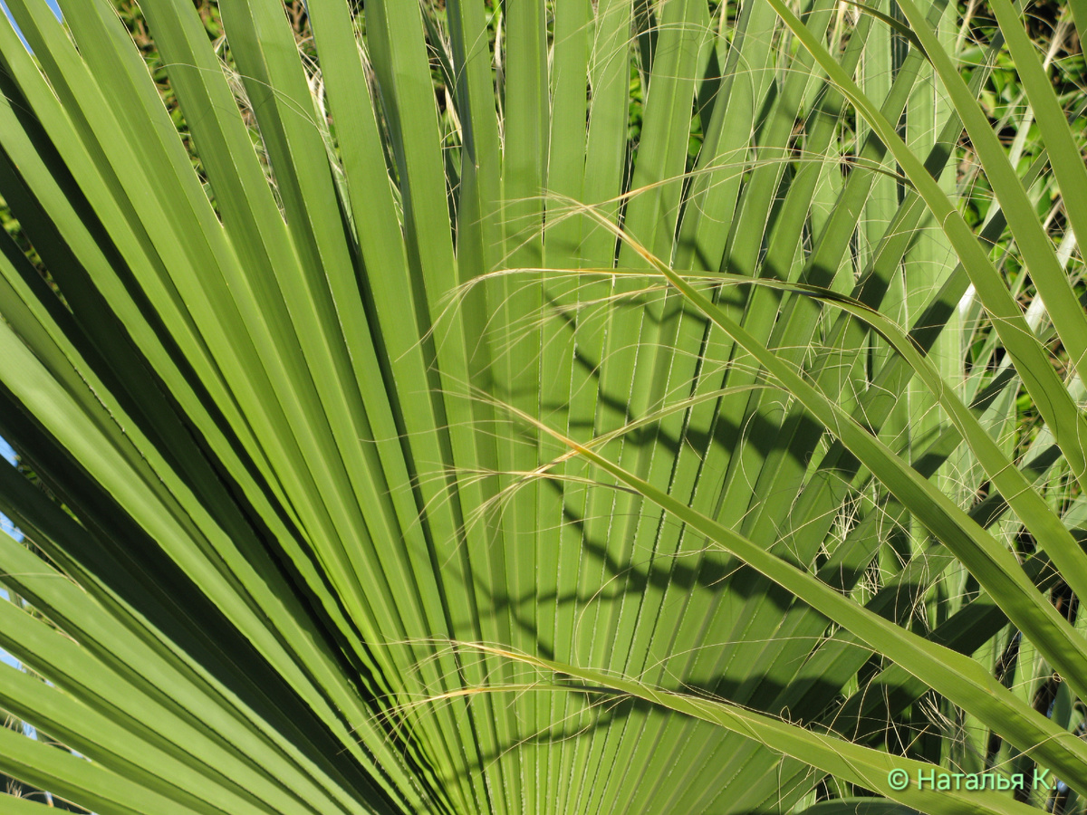 Фото автора канала