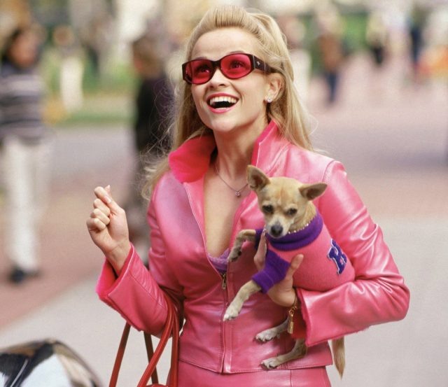    Кадр из фильма «Блондинка в законе»