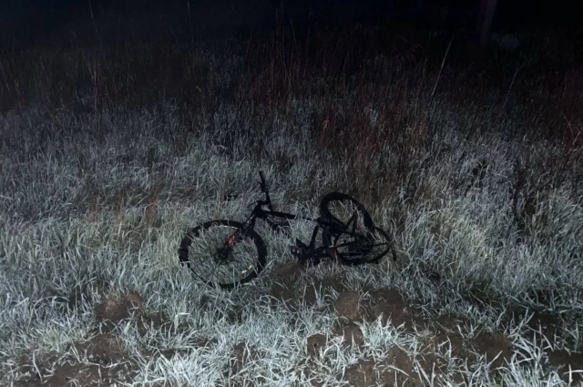    В Краснодарском крае пассажирский автобус насмерть сбил велосипедиста