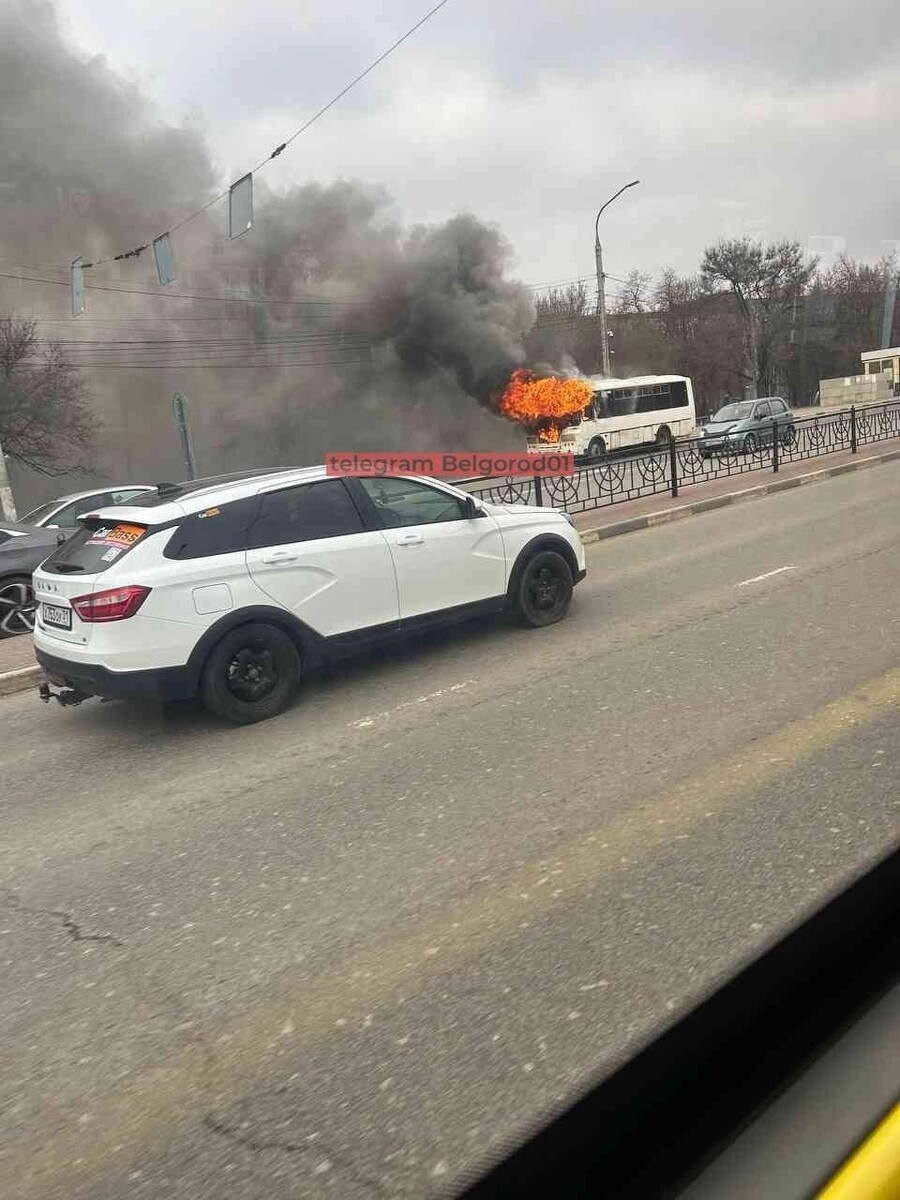     Источник: t.me/belgorod01