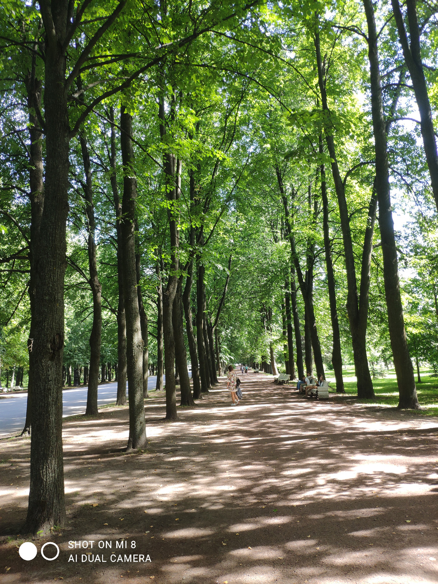 Приморский парк Победы