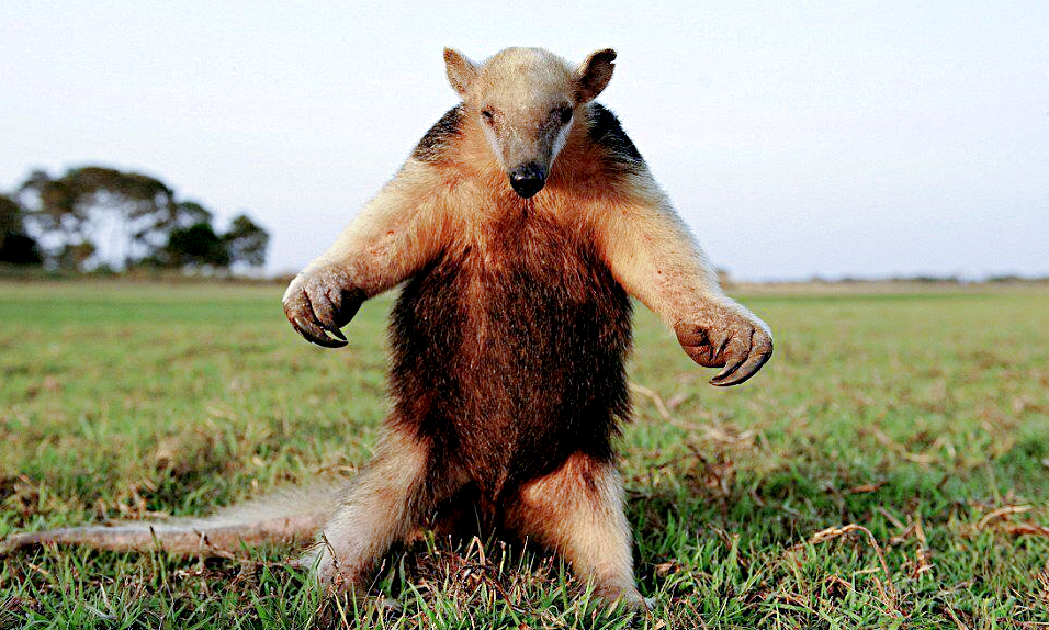 Снимок: tenor.com