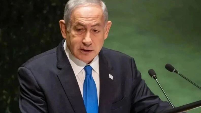    Фото: noamgalai/Shutterstock/Fotodom