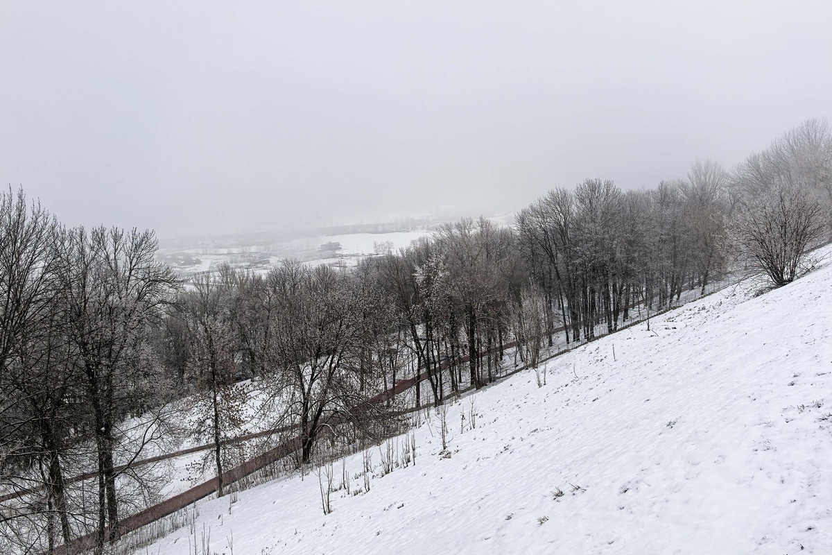 Стоимость контракта составила 702,9 миллиона рублей.  Фото: ФедералПресс / Ксения Кобалия