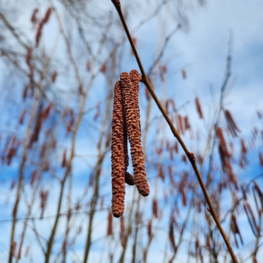 Листайте галерею по стрелке вправо 