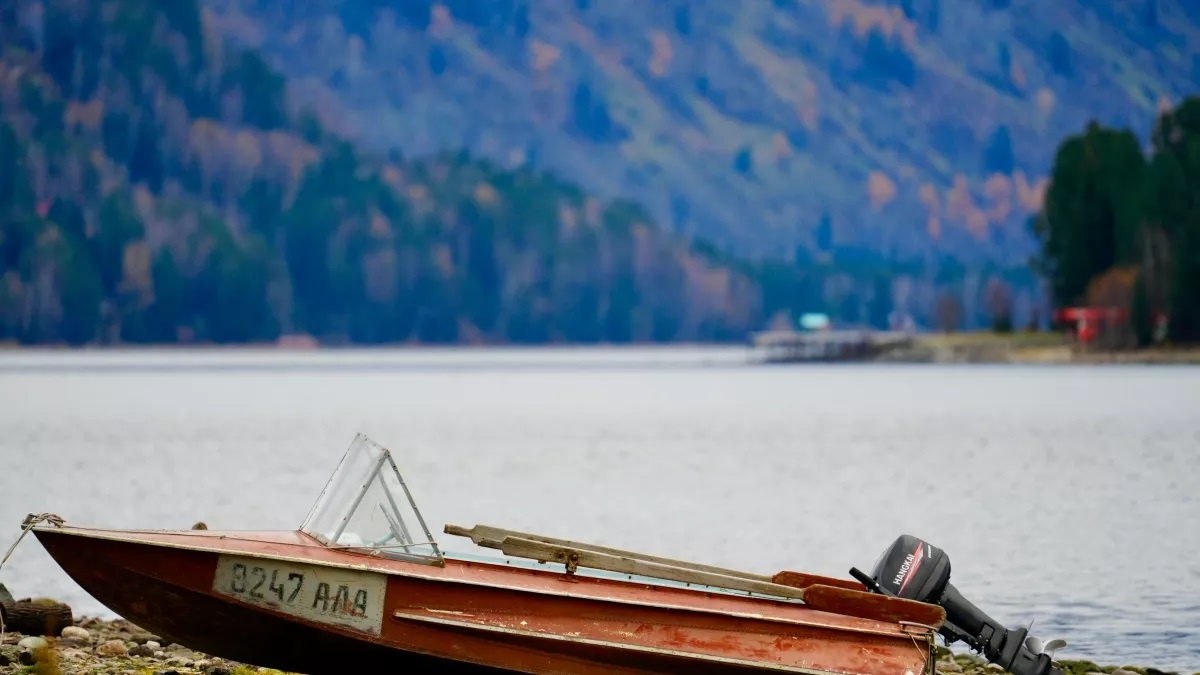 Фото: Андрей Сороко/«Толк»