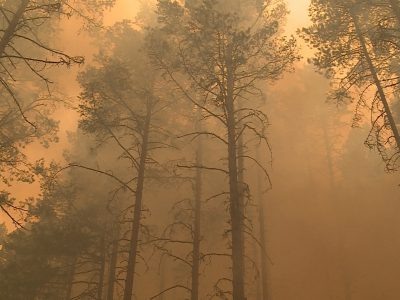    Фото: ГТРК Карелия