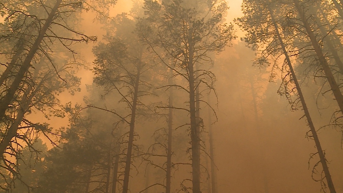    Фото: ГТРК Карелия