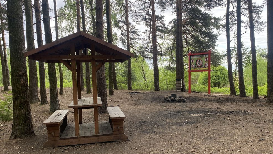    Приморское участковое лесничество Автор фото: СПб ГКУ "Курортный лесопарк"