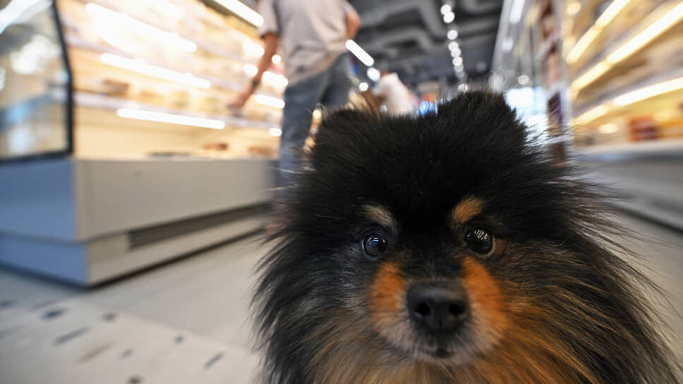 Фото: Евгений Разумный / Коммерсантъ