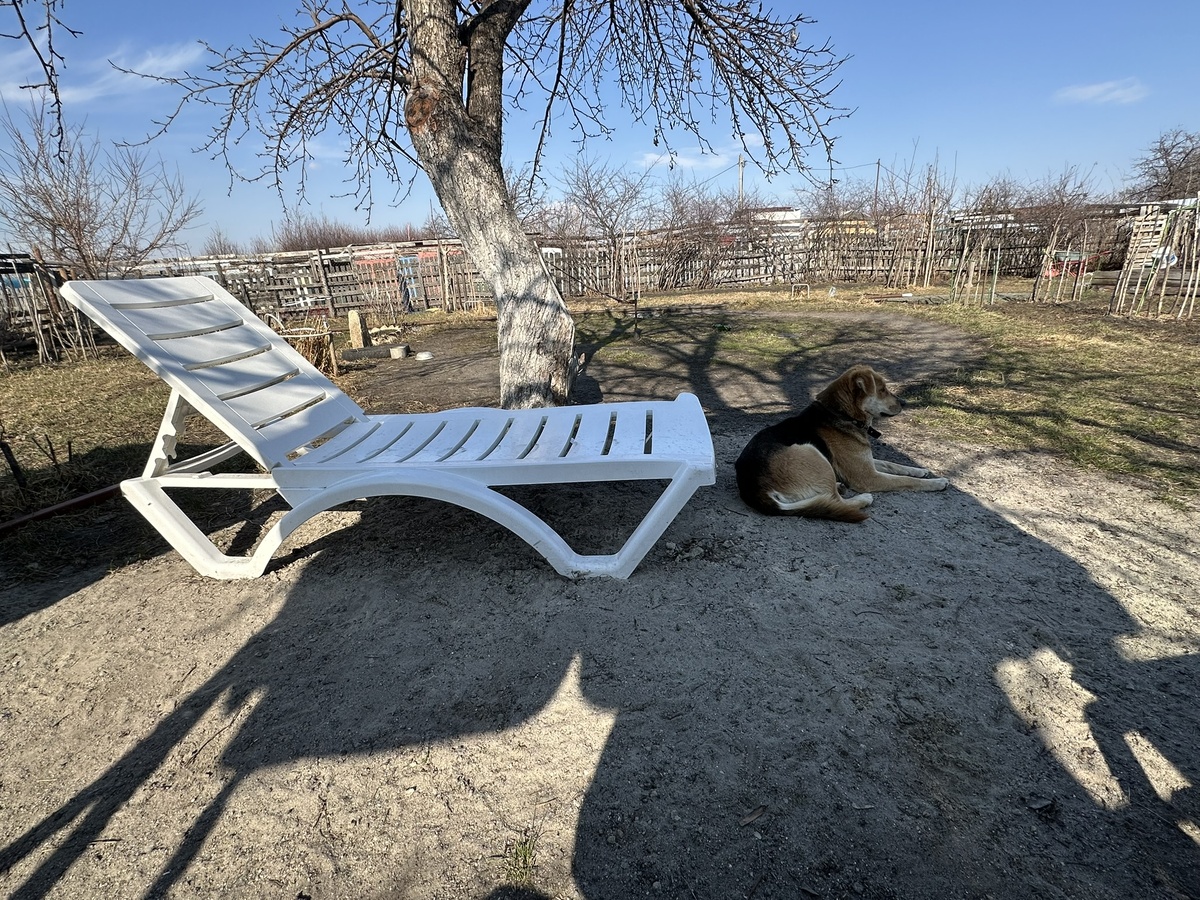 Шарпи. Вроде жара как летом. А где зеленые травка и листва?