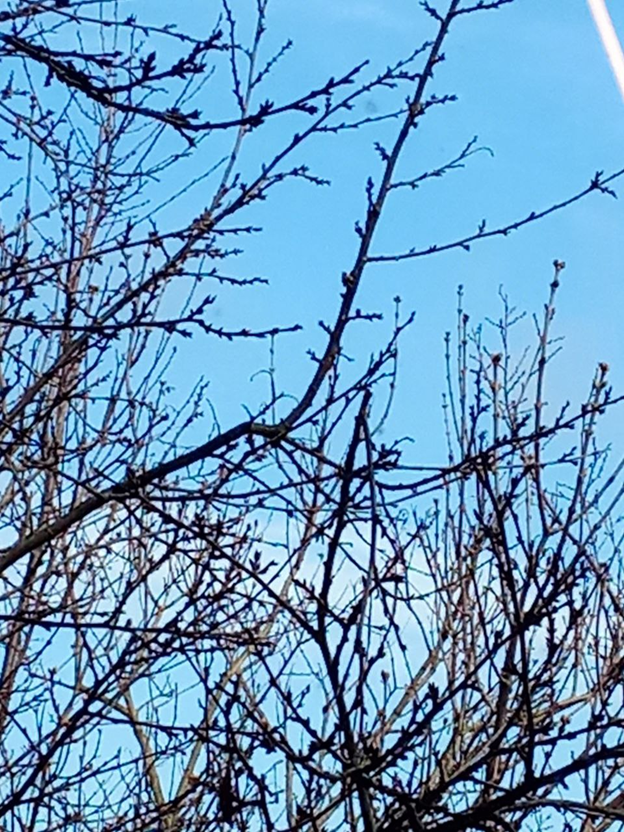 Личное фото