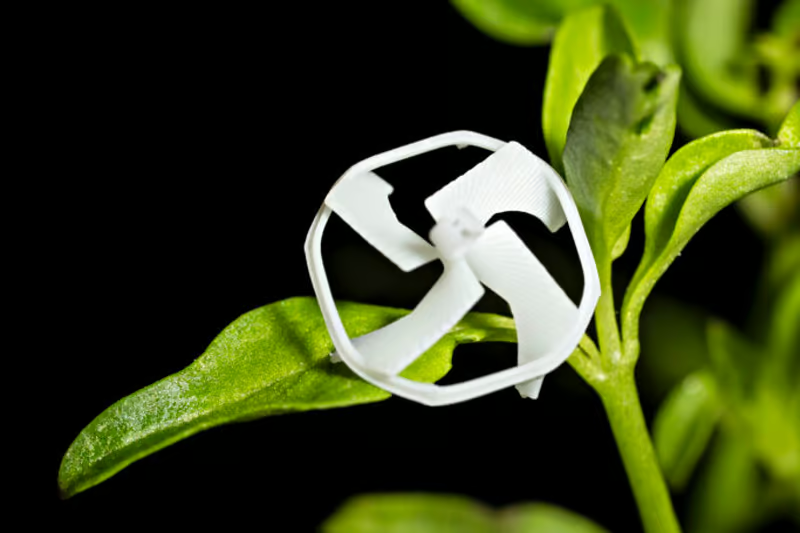 Источник изображений: Science Advances 2025