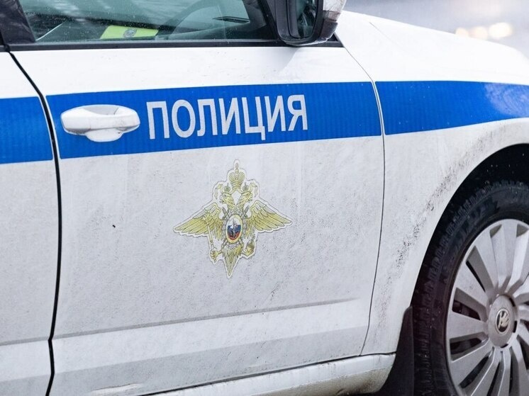     Сотрудники полиции задержали злоумышленника, который похитил мемориальную плиту с могилы героя Советского Союза. Фото: Архив МК в Питере