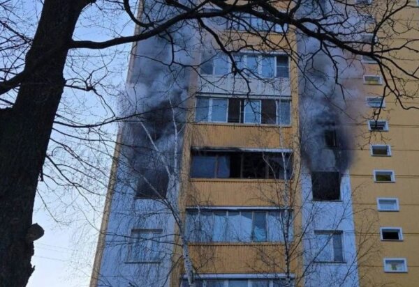 Пожар в Подмосковье. Обложка © VK / Моя Москва