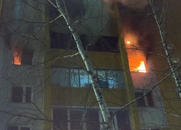 Пожар в Подмосковье. Фото © VK / Москва с огоньком