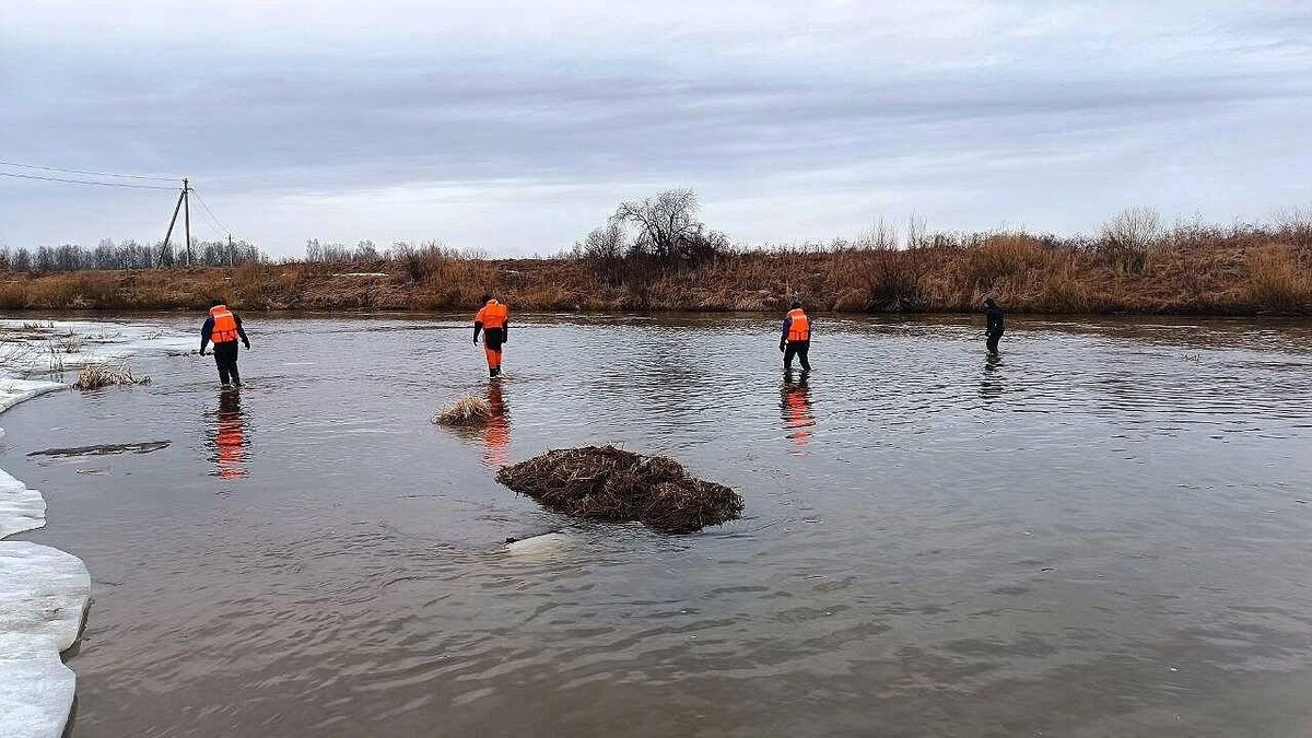     Источник: Поисково-спасательная служба Удмуртии