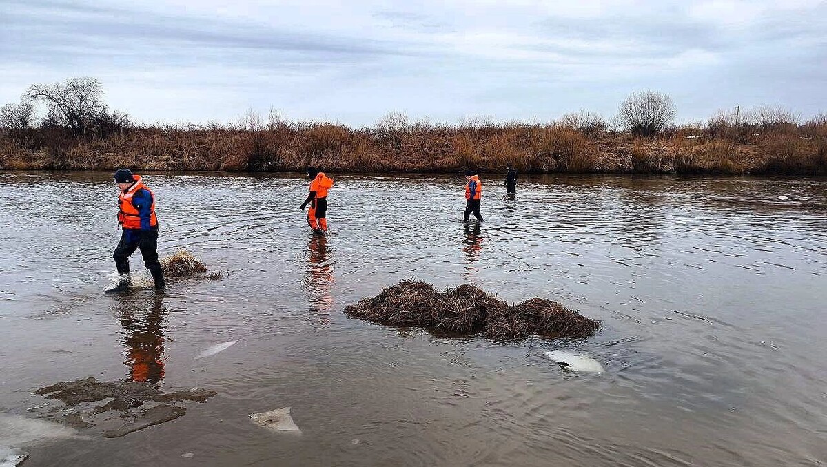     Источник: Поисково-спасательная служба УР