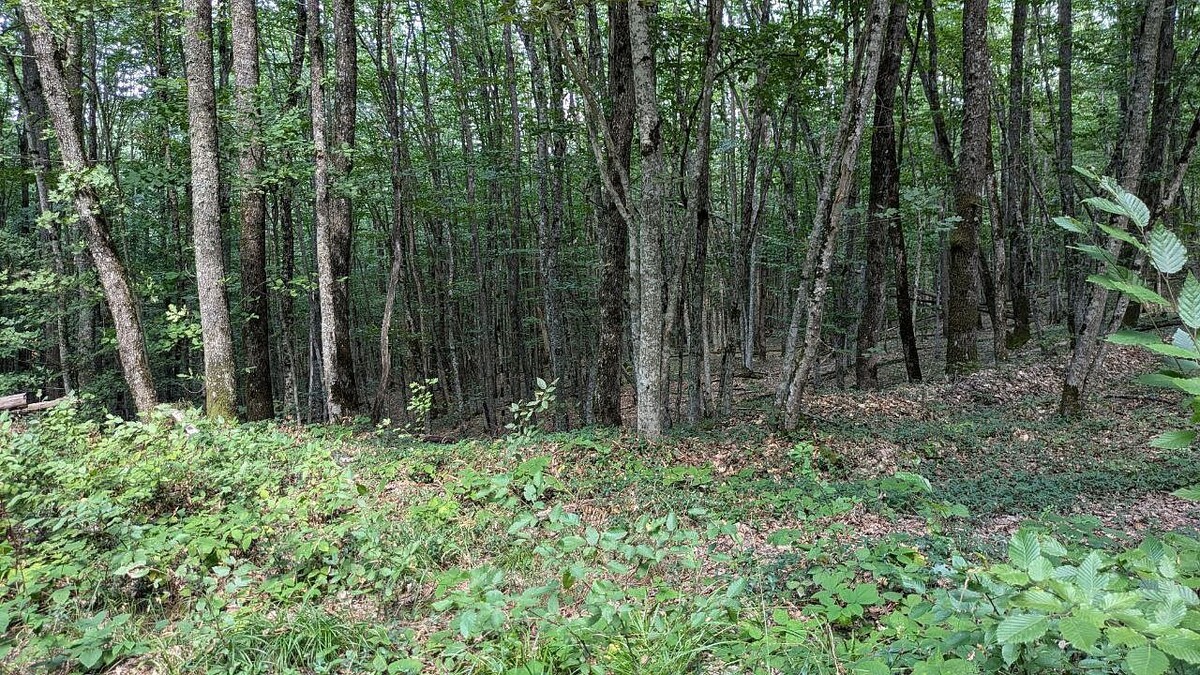    Фото: телеканал «Краснодар»