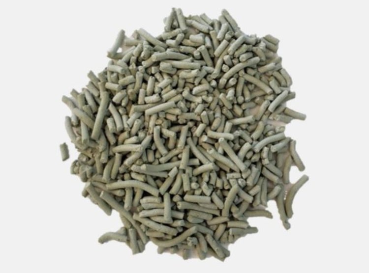     Триходерма получила кардинальный рисовый апгрейд в Бразилии
