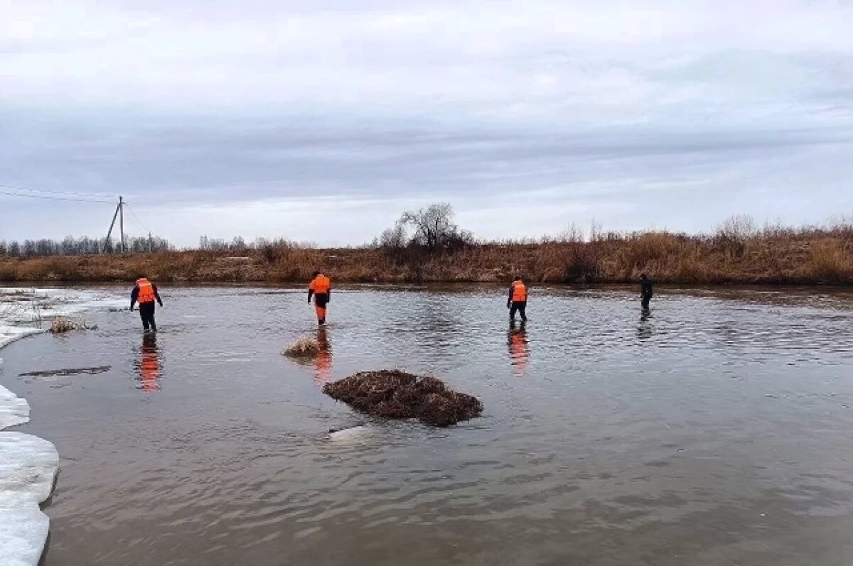    В Удмуртии уже неделю ищут друга утонувшего в реке Сиве мальчика
