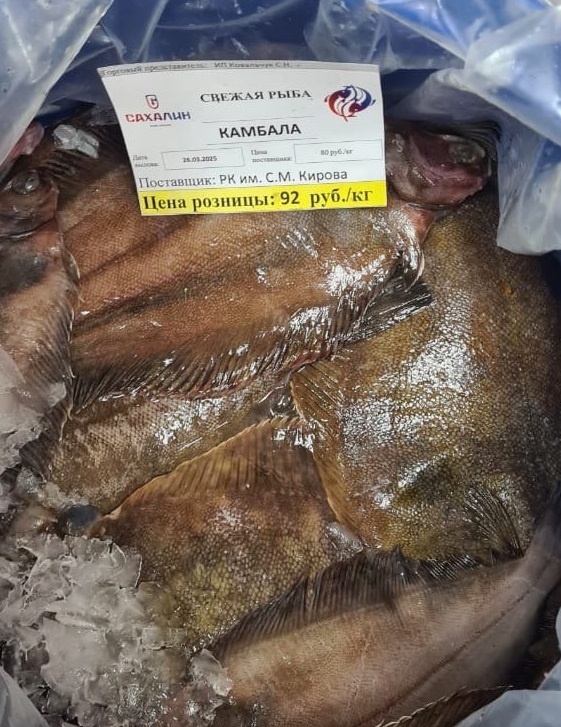 В рамках социально значимого проекта «Региональный продукт «Доступная рыба» достигнуты договоренности о поставках свежей рыбы в отдаленные районы Сахалинской области.
⁣
Рыбохозяйственное предприятие ООО «РК им. Кирова», расположенное в селе Озерском Корсаковского района, 27 марта 2025 года осуществило первую отгрузку свежевыловленной рыбы в Александровск-Сахалинский и Тымовский муниципальные округа.
⁣
Проект направлен на решение важной социальной задачи – обеспечение жителей региона свежей рыбой по приемлемым ценам. Особое внимание уделяется отдаленным районам, где ранее были ограничены возможности приобретения качественного рыбного продукта.
⁣
Министерством по рыболовству Сахалинской области совместно с администрациями муниципальных образований проработан вопрос расширения ассортимента свежевыловленной рыбы. К уже имеющимся видам добавились камбала, треска и минтай. В зависимости от сезона ассортимент будет меняться. Кроме того, решен вопрос с поставкой лососевых пород в период путины на постоянной основе.
⁣
Проект находится на личном контроле Губернатора Сахалинской области и является частью масштабной инициативы "Забота. Защита. Уважение", направленной на повышение качества жизни жителей региона.
⁣