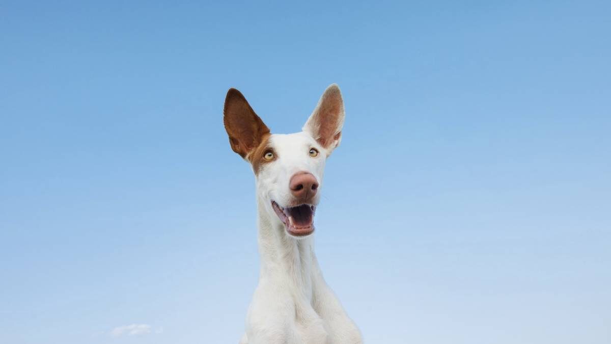    Фото: Shutterstock