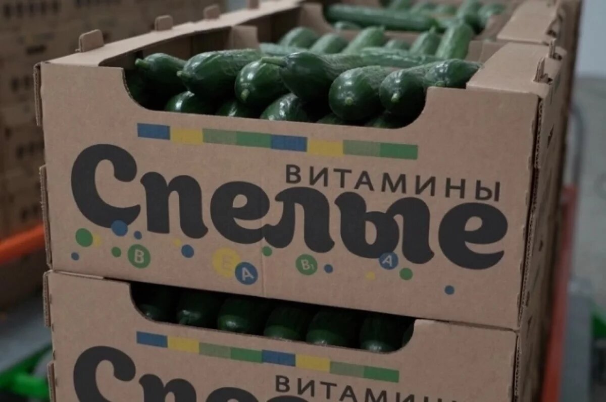    Надбавки на яйца, огурцы и помидоры собираются ограничить на Камчатке