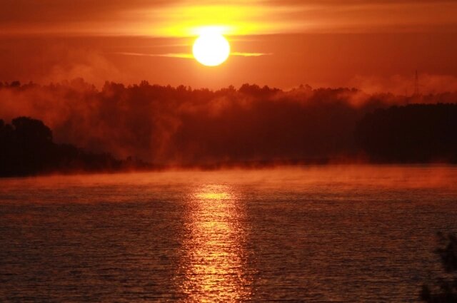    Фото:  АиФ/ Виктор Крутов