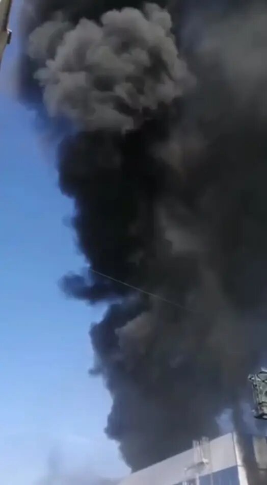    Фото: скриншот из видео в соцсетях.