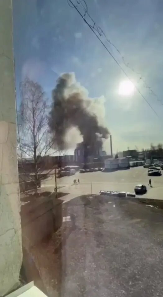    Фото: скриншот из видео в соцсетях.