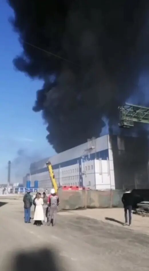    Фото: скриншот из видео в соцсетях.